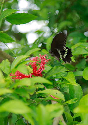 k08_photo1.jpg