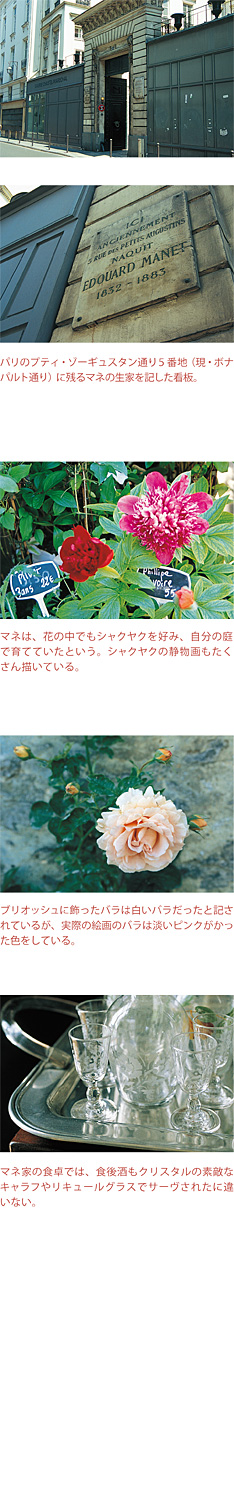 y04cap.jpg