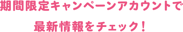 期間限定キャンペーンアカウントで最新情報をチェック！