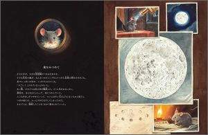 中面 1