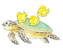 f:id:staffroom:20110726165155j:image f:id:staffroom:20110726165155j:image