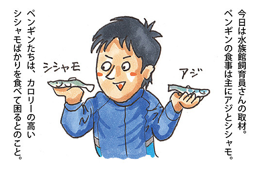 f:id:staffroom:20140523155150j:image
