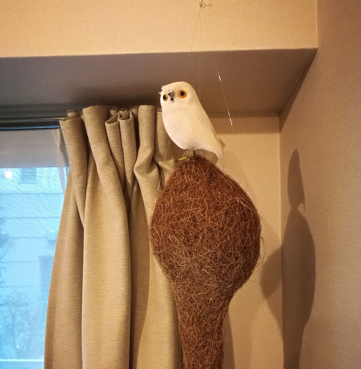 f:id:staffroom:20190926122401j:plain f:id:staffroom:20190926122401j:plain