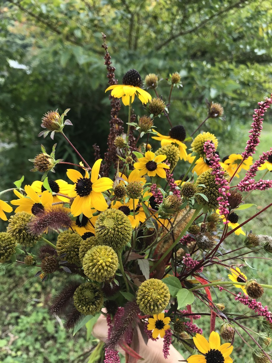 f:id:staffroom:20191020153502j:plain
