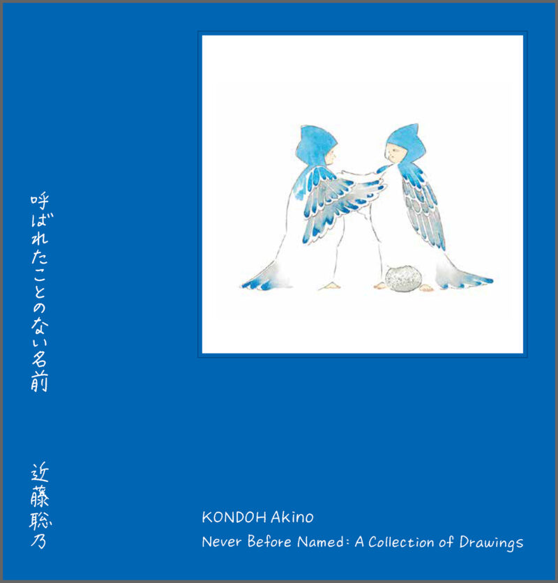 『呼ばれたことのない名前　Never Before Named：A Collection of Drawings』書影